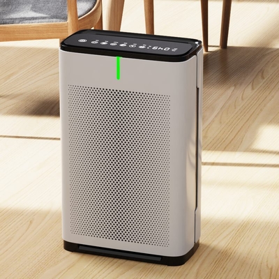 Timer Remote Control Home Air Purifiers For Allergies Asthma