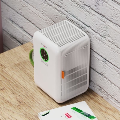 Low Noise Room Air Purifier For Adsorption Floating Dog Hair DC Motor