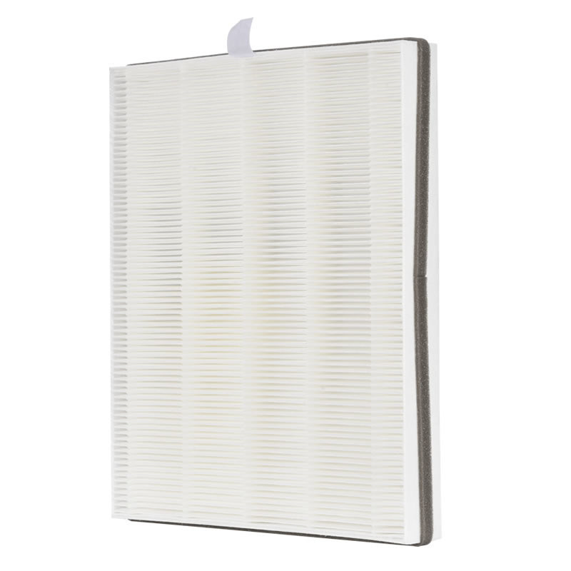Customized Replacement Removal Hepa Air Filter for item 1114