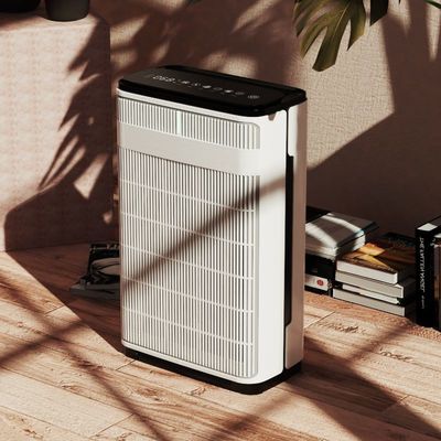 تصفيه کننده هواي برتر براي حيوانات خانگی مو و پوست حیوانات را از بين مي برد